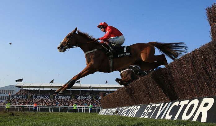 Cheltenham Festival - Ladies Day