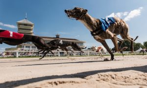 Kevin Boothby Signs 10-year Lease Agreement For Towcester Dog Track