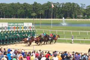 LIVE Stream Horse Racing – Tampa Bay Downs & Fonner Park Tonight