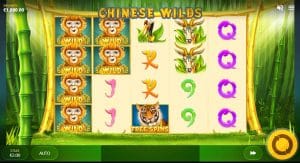 Chinese Wilds Slot