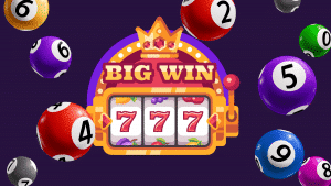 bingo with slots
