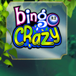 Bingo Crazy Logo