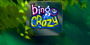 Bingo Crazy Logo