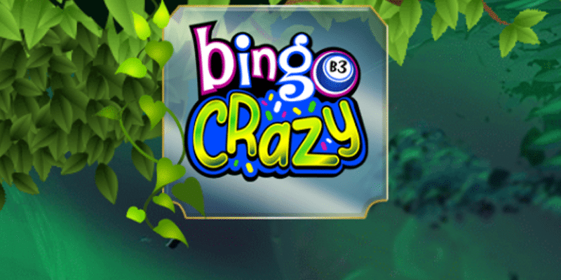 Bingo Crazy Logo