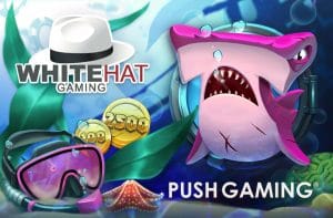Push Gaming Expands European Presence With White Hat Agreement Expansion