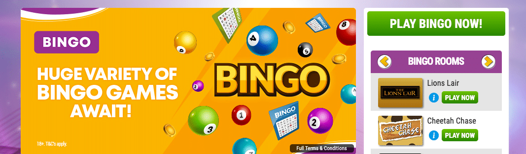 Boyle Bingo - Read Our Review & Get The Latest Offers Here!