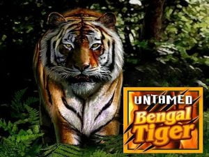 Untamed Bengal Tiger Slot