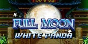 Full Moon White Panda Slot
