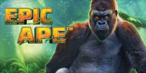 Epic Ape Slot