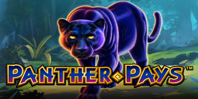 Playtech - Panther Pays - Gameplay Demo