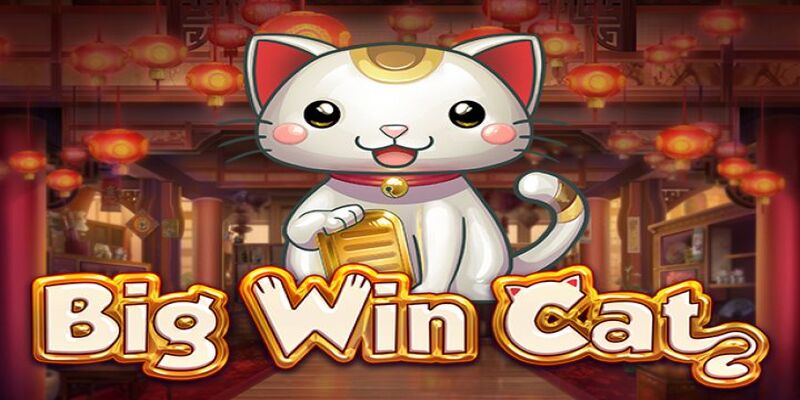 Big Win Cat - Free Spins, RTP, Features & Bonuses!