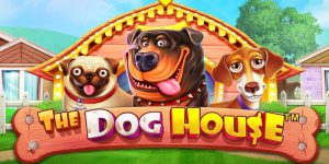 The Dog House Slot Review