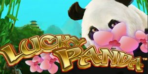 Lucky Panda (Playtech) Slot