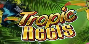 Tropic Reels Slot