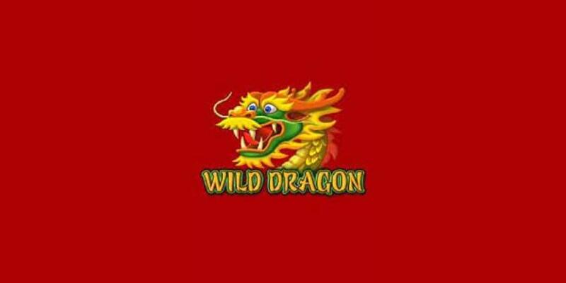 Wild Dragon Slot