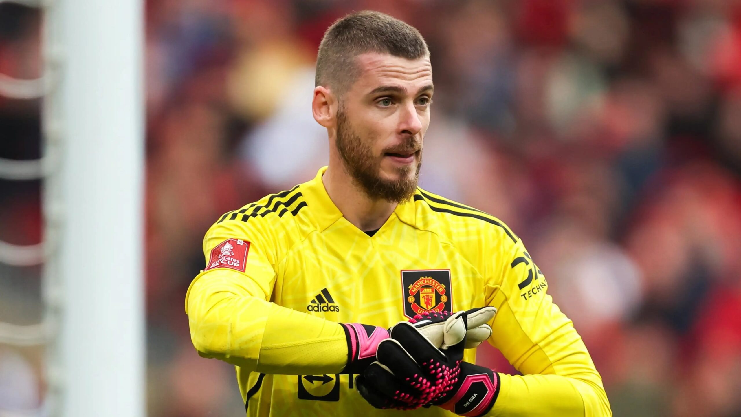 David de Gea New Club Odds: Spanish stopper 8/1 for Man United return